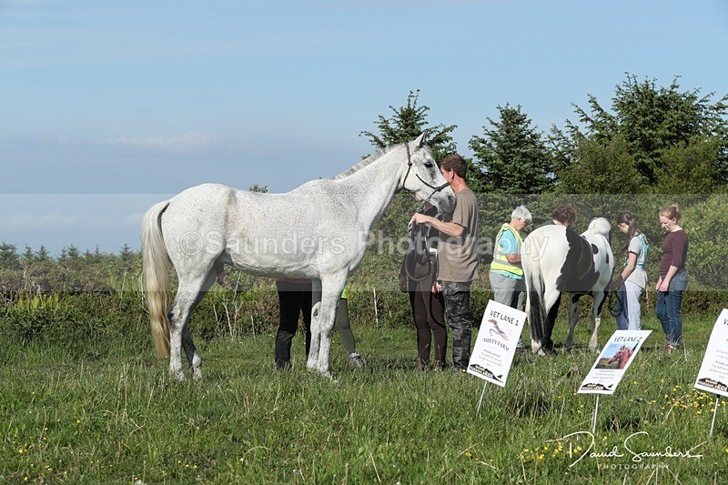 SPXX0050 - Friday vetting
