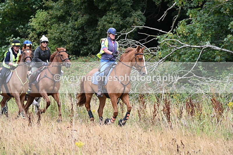 WJ6_2343 - Group 7