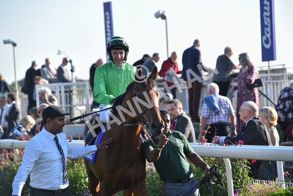 yr08102021r4-18 - Race 4 3.50pm Casumo Dare To be Different Handicap