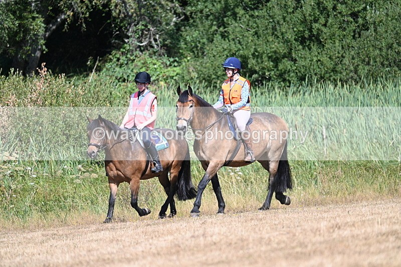WJ7_8213 - Time 11:53 to 11:56