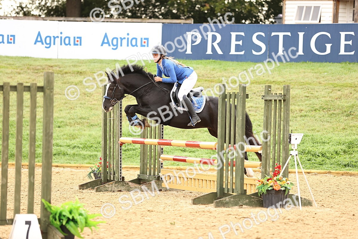 SBM_58259 - J41 - Grand Tour Horse & Pony 95cm