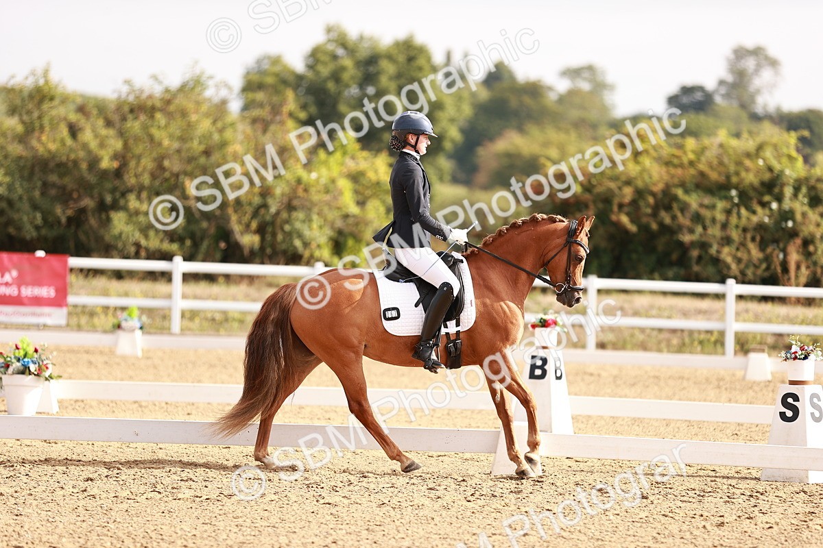 SBM_016910 - Class 10 - Medium 6