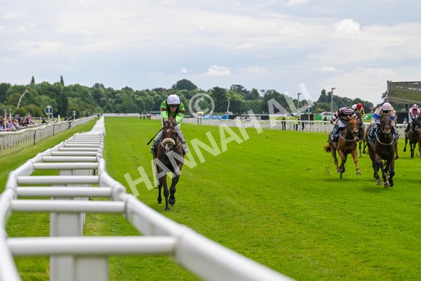 140624-Race 1-Tolstoy-3708 - Race 1 1.50pm Andy Thornton Hospitality Furniture Apprentice Handicap