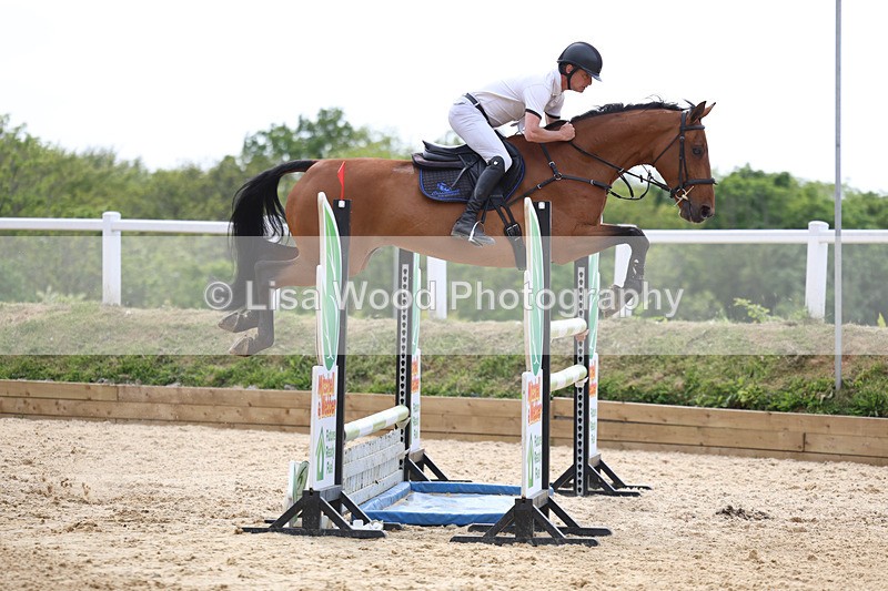 3E7A7821 - Class 8: Senior Foxhunter/1.20 open