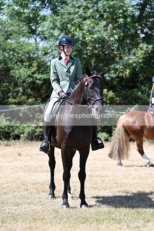 WJ7_3741 - Class 8 Ridden Veterans