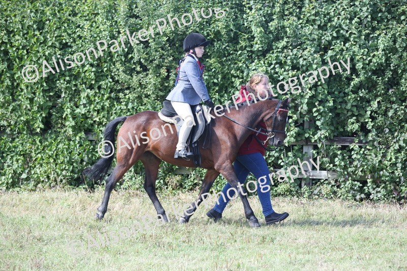 20250831-2619 - Class 17 - Lead Rein Pony