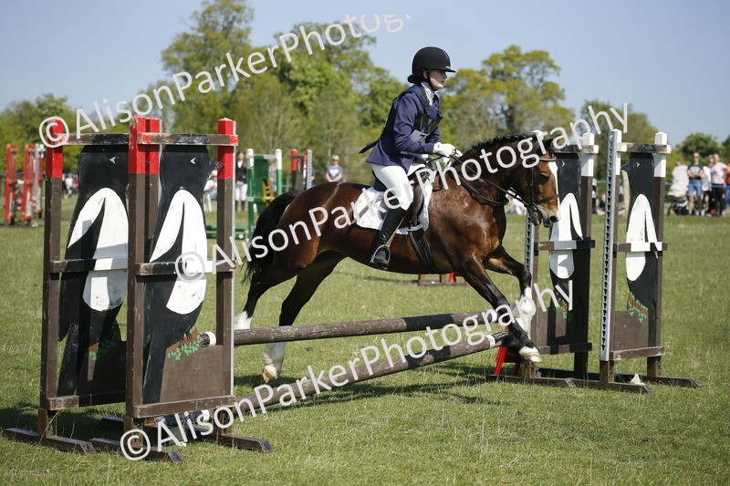 20250427-2131 - Class 13 - Novice Jumping 60cm