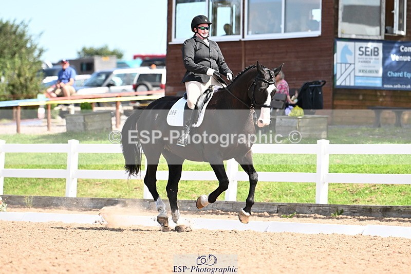 240816A-121804-04854 - 289-Rosey.Bradburn-High.Spirits.II