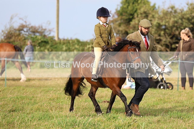 3E7A3631 - Class 2: Lead rein