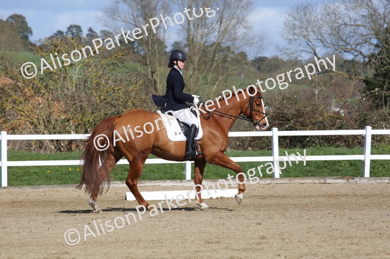 20260314-4132 - CT4 - Novice 1