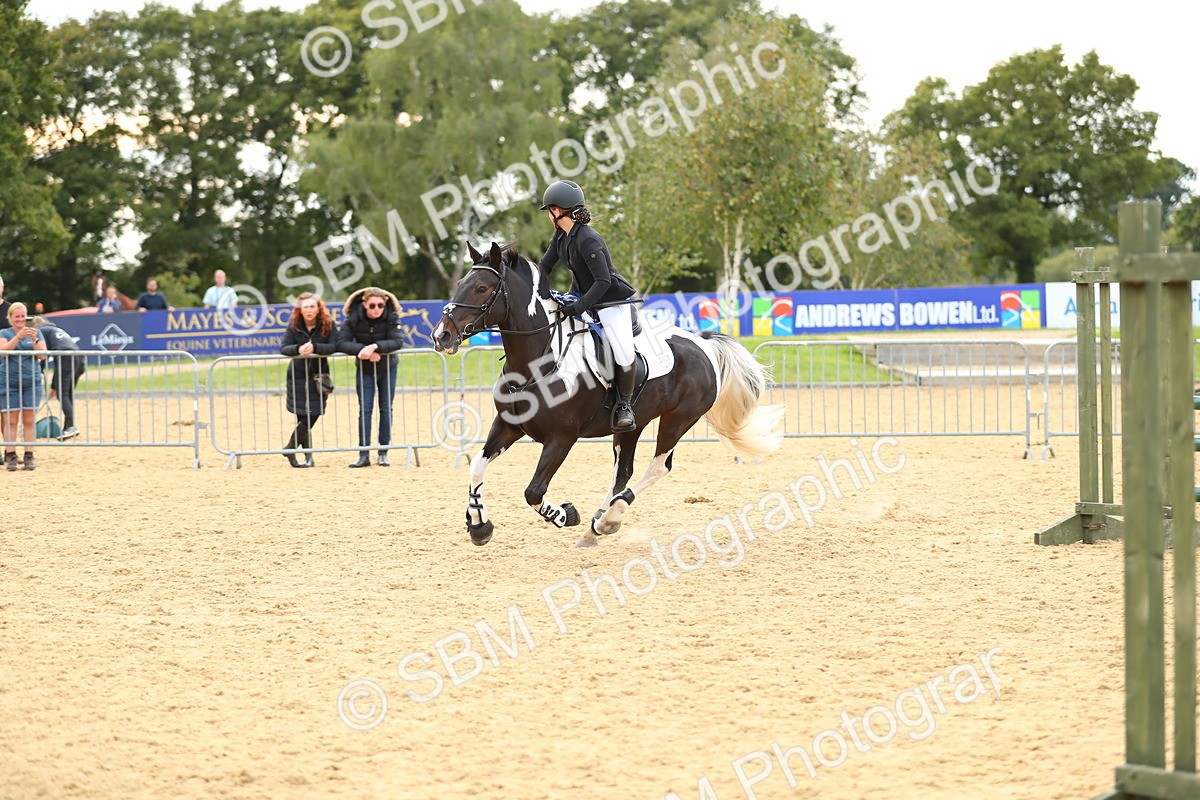 SBM_76205 - J19 - Junior 90cm Supreme Championship