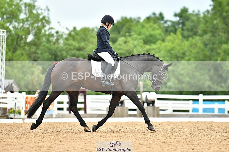 230701A-101835-04511 - Cls 2 Prelim 19