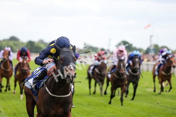 yr11062022r5-28 - Race 5 3.40pm The Pavers Foundation Catherine Memorial Sprint Stakes