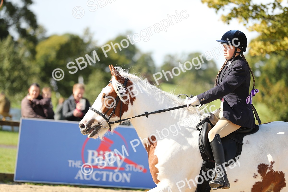 SBM_40191 - J21 - Junior Horse 60cm Championship