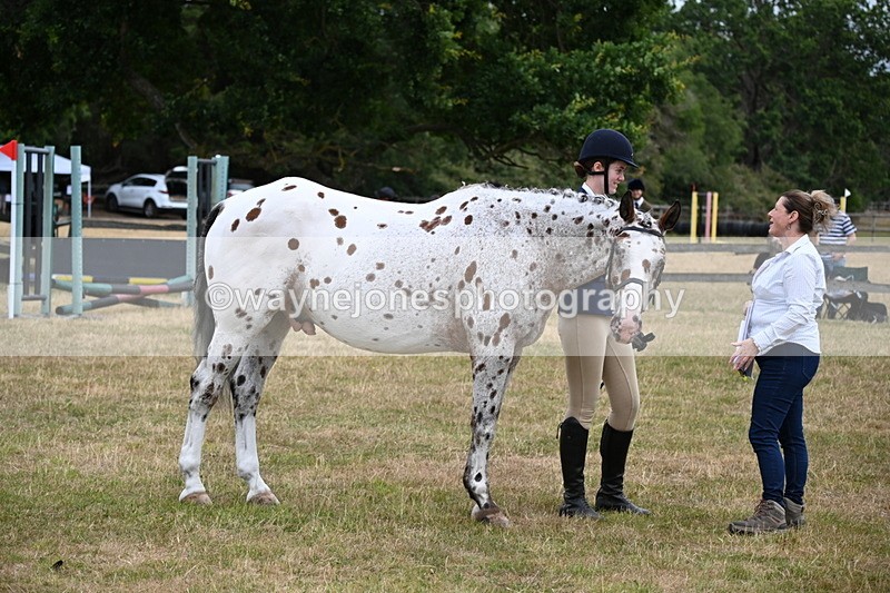 WJ6_4269 - Class 10 Coloured In-hand