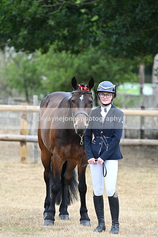 WJ7_0024 - Class 5a Most Handsome Gelding (above 14.2hh)