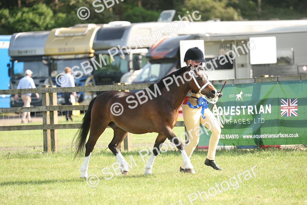 SBM_10402 - Class 33-38 - SSADL RIHS Qualifiers
