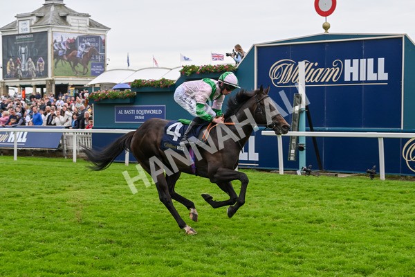 250524-Race 3-Starlust-3261 - Race 3 2.45pm William Hill Extra Place Races Daily Handicap