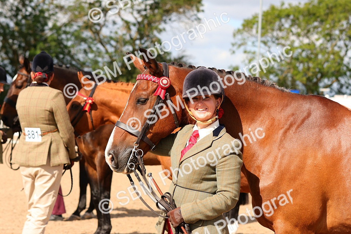 SBM_11745 - Class 208 - IH Veteran Horse