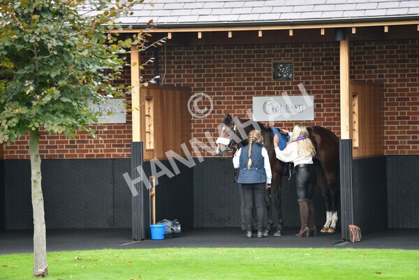 yr09102021r1-12 - Race 1 1.30pm Watch Racing Free Online At Coral Nursery Handicap