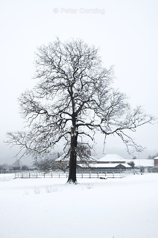  - Winter