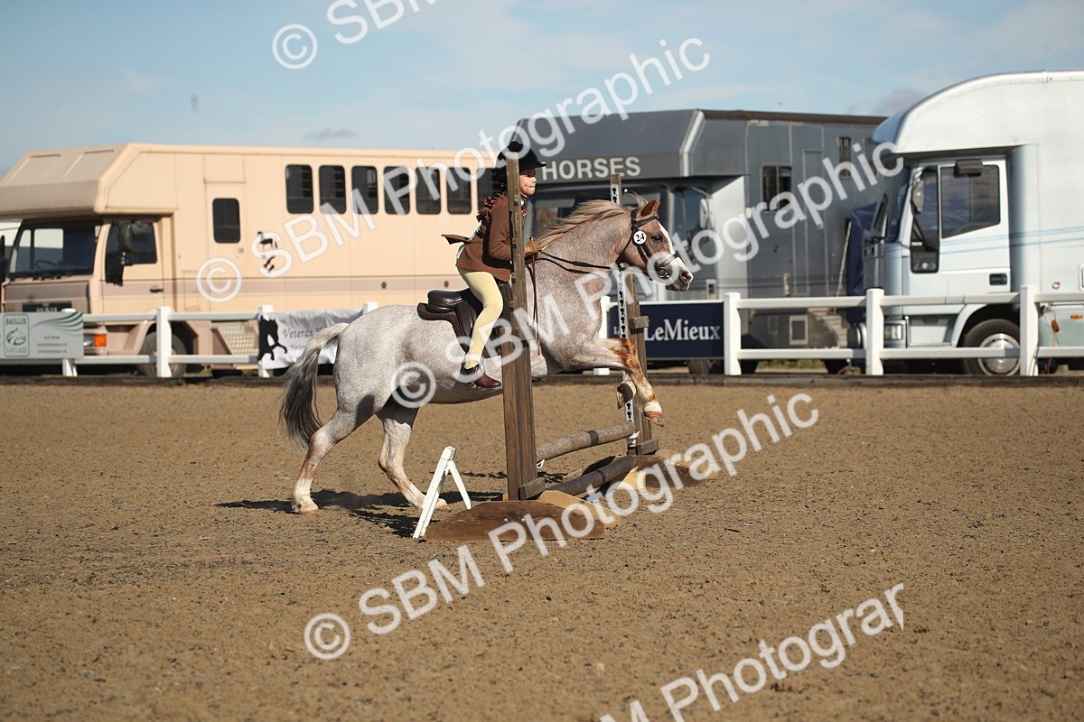 SBM_12710 - Class 504b - Junior Working Veteran - 40cm (20+)