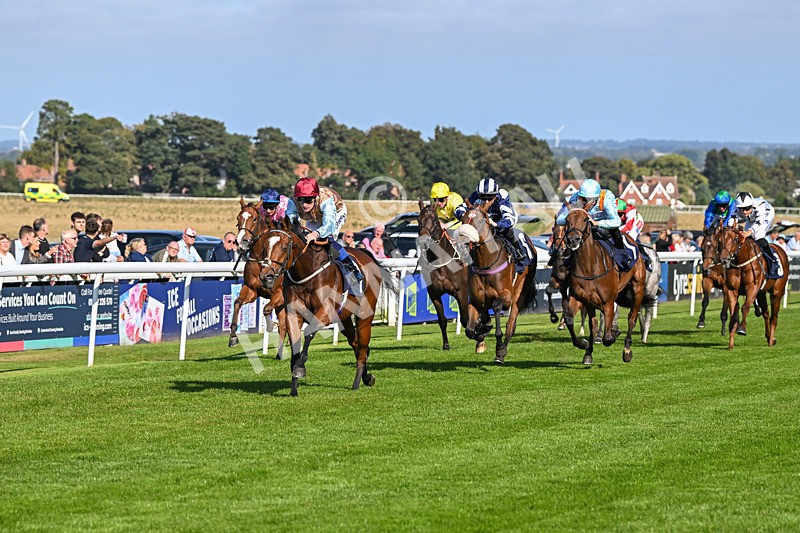 180924-Race 4-Surprised-4470 - Race 4