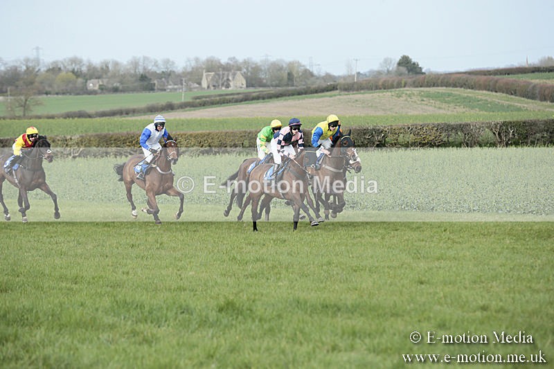 PtP 230319 285 - VWH Hunt Siddington Point-to-Point Racing 23/03/19