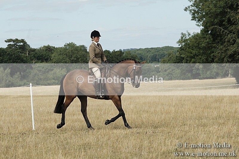 _PJP6085 - BVRC Show 2018 Ring 1