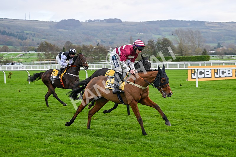 161124-Race 1-Moutarde-9211 - Race 1