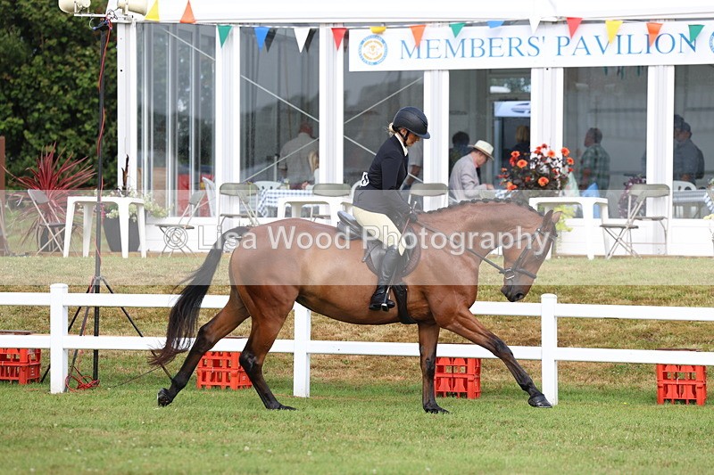 3E7A8137 - Class 2: Rising Star Large Hack/Riding Horse