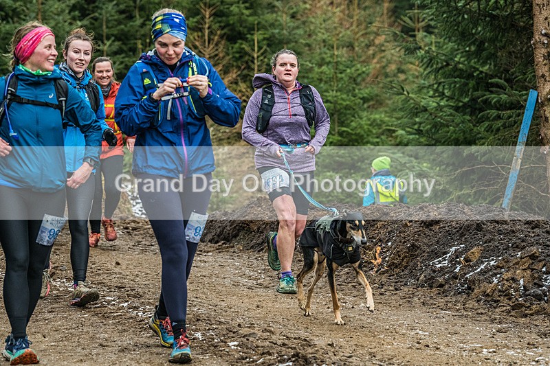 Glentress-960 - High Terrain Events Glentress 10K 21K & 42K Trail Races Sunday 16th February 2025