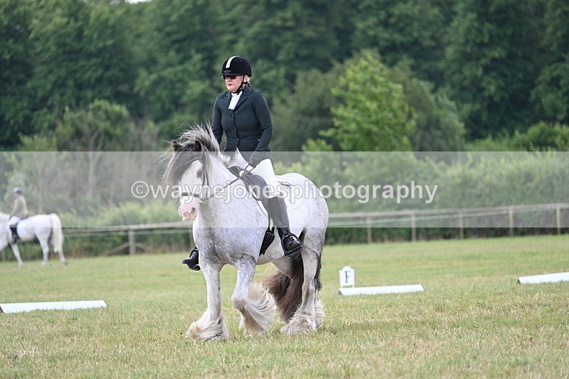 WJ7_4646 - Time 10:59 to 11:17