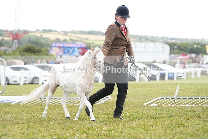 DSC06890 - Class 60: Coloured Pony 4yrs & over