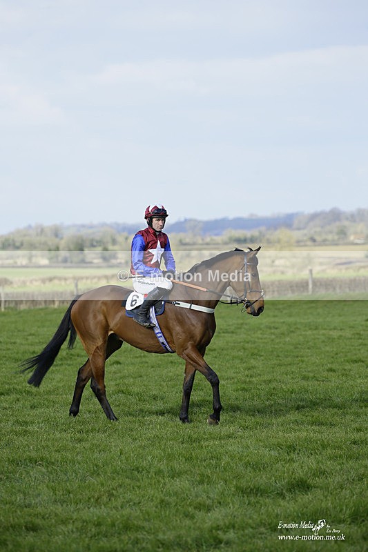 PtP 060322 489 - Blackmore & Sparkford Vale Hunt PtP 06/03/22