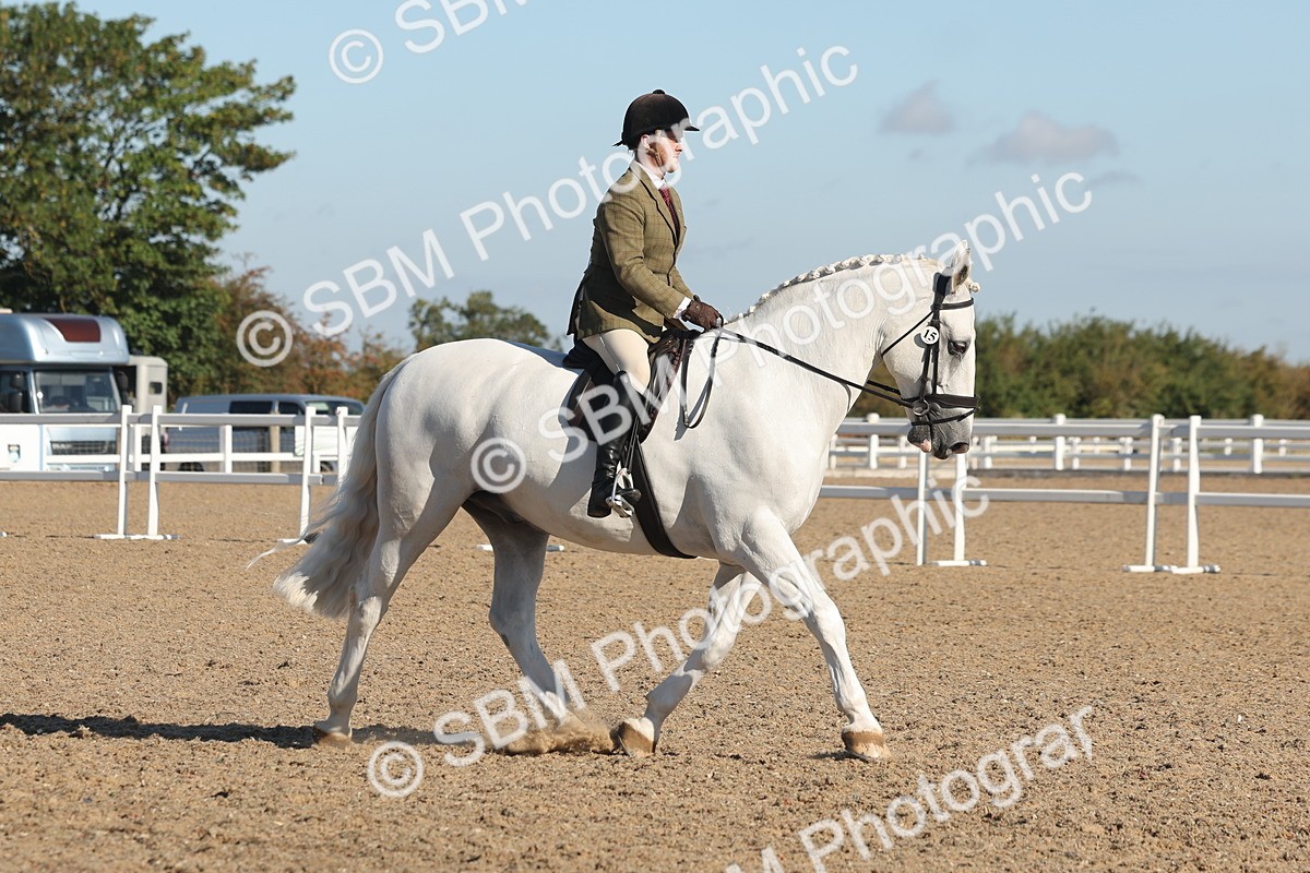 SBM_12218 - Class 303 - Ridden Pure Bred Horse Pony