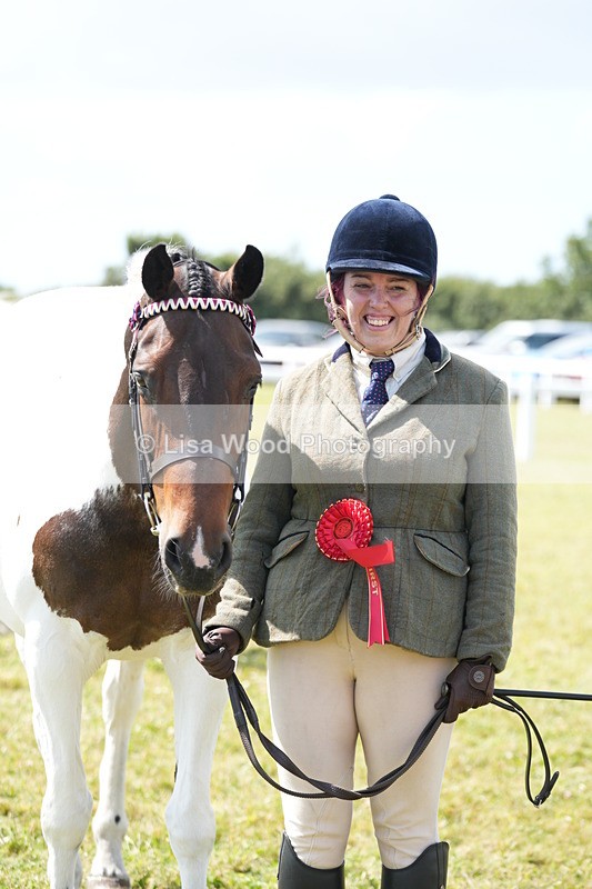 DSC07228 - Coloured Horse In Hand Championship