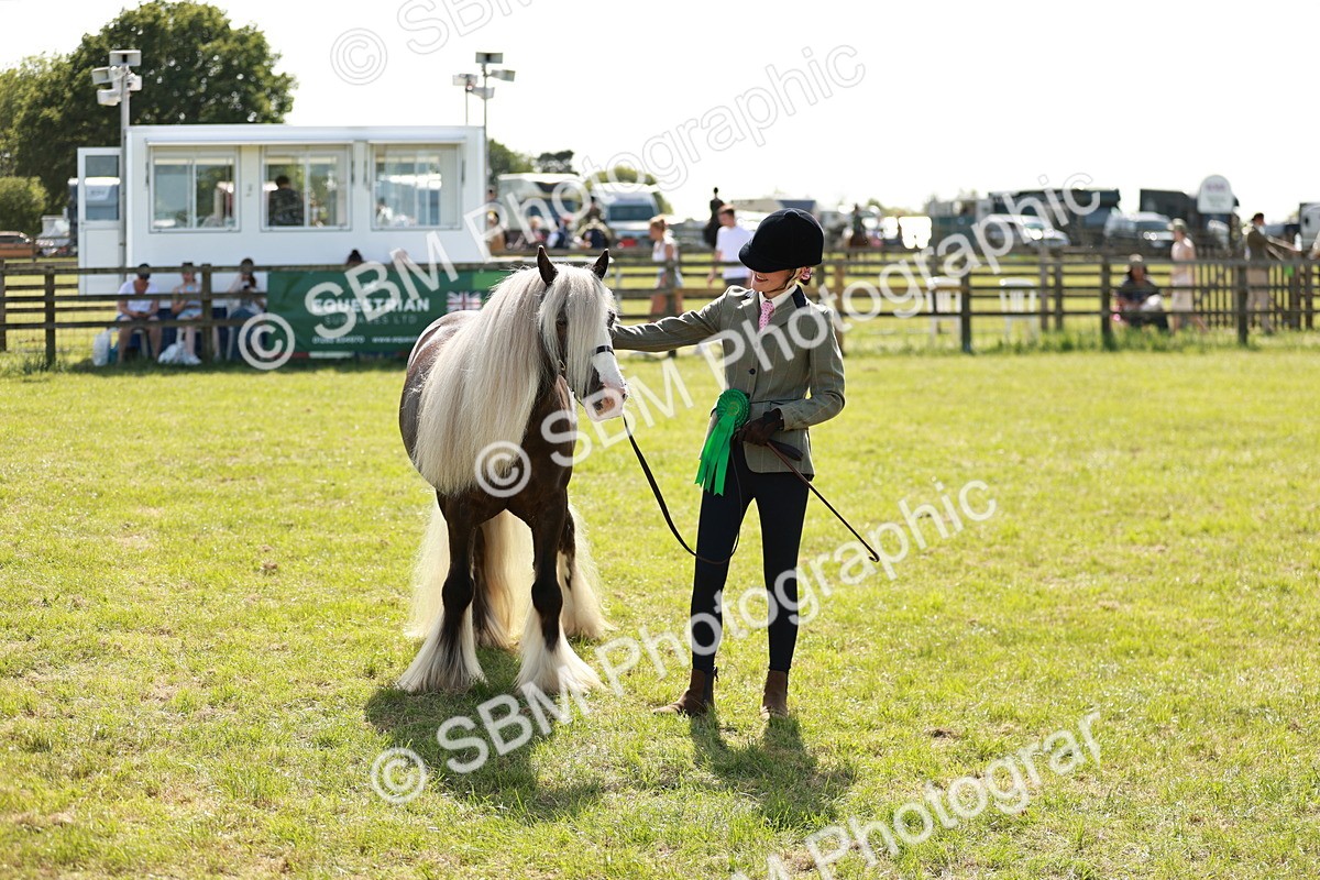 SBM_08927 - Class 63-65 - Traditional Gypsy Cobs In Hand & Ridden