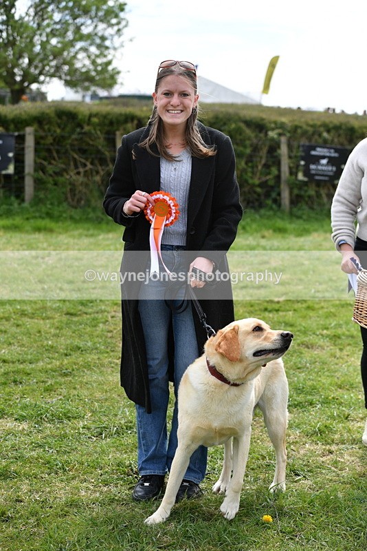 WJ5_9891 - Class 3 Most Handsome Dog