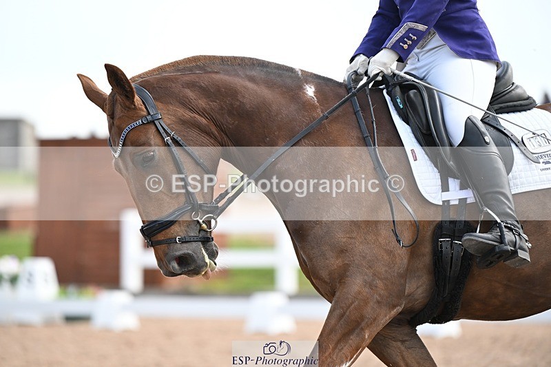 250620-103221-02631 - BD Cls 4 - Novice 5, Start to 11.30am