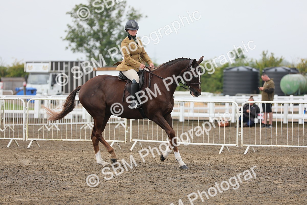 SBM_21355 - Class 805 - Ridden Veteran Horse