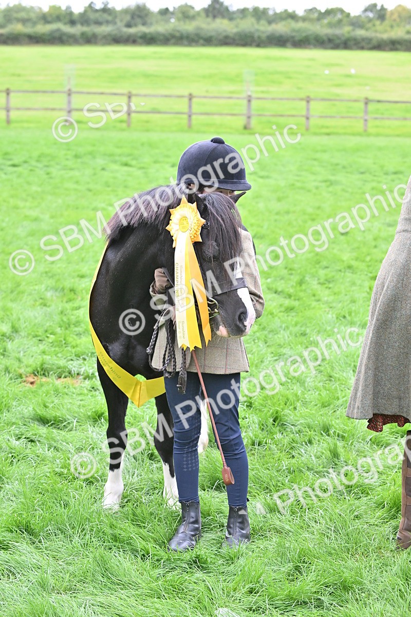 SBM_66809 - S41 - Junior Handler 8 Years & Under