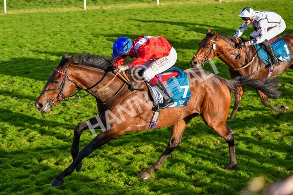 141023-Race 7-Star Ahoy-1667 - Race 7 4.45pm Coral 'Committed To Safer Gambling' Finale Handicap