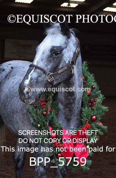 BPP_5759 - Marion West pony 2