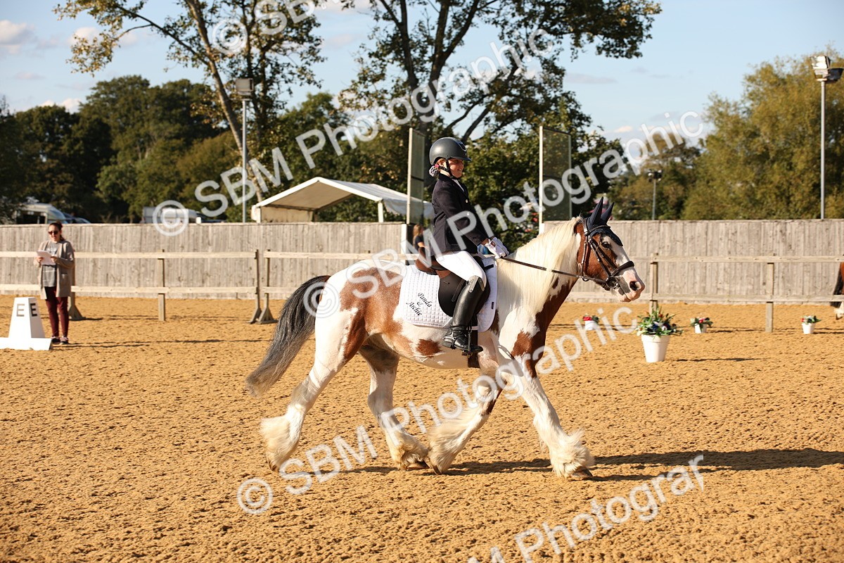 SBM_28322 - D11 - Small Tour Championship - Prelim 13