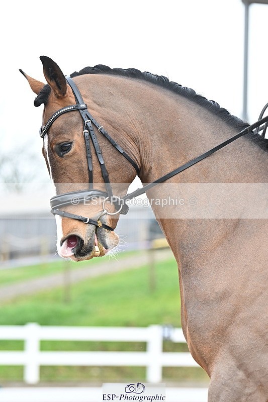 240218A-134224-07690 - 262-Amy.Hose-Enrique