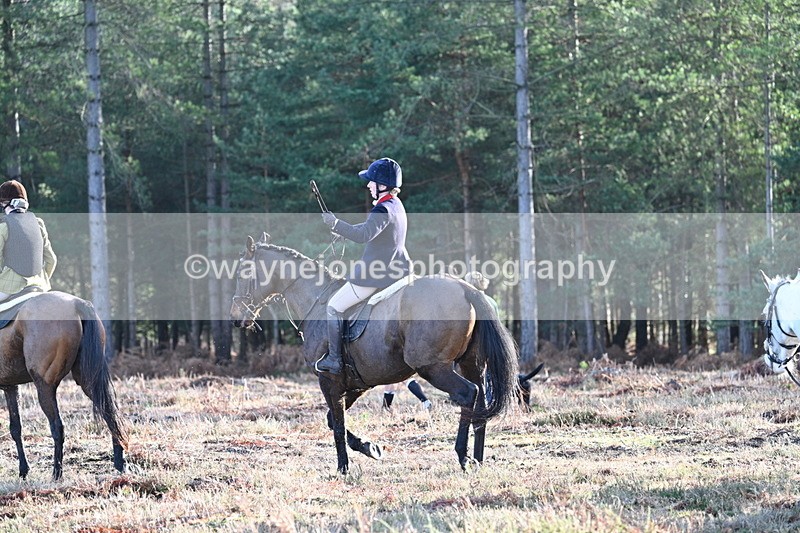 WJ7_7253 - Line 3 (no line 4 or 5)