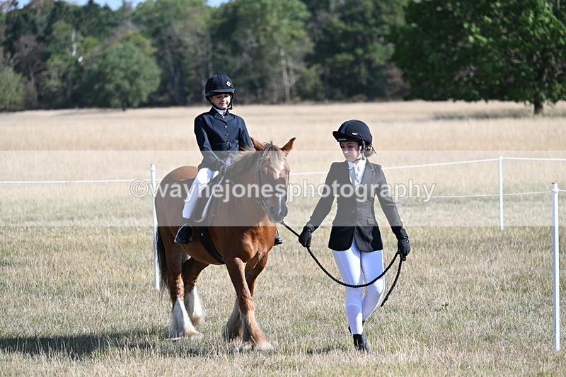 WJ7_3080 - Class 8 Ridden Tack & Turnout
