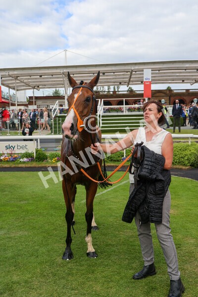 yr11062022r8-57 - Race 8 5.25pm Clean up with PPS Stakes