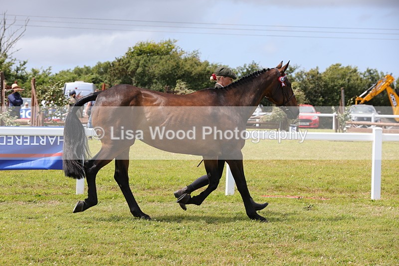 1X9A4890 - Class 35: Veteran In Hand